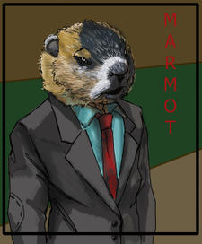 Marmot