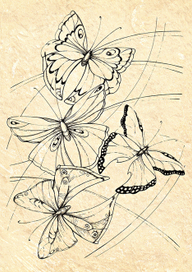 Бабочки