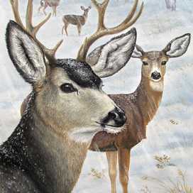 Олени зимой