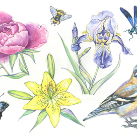 Цветы, насекомые и птица