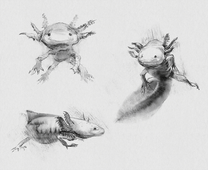 Набросочки перед сном 2