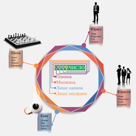 Категория числа существительных