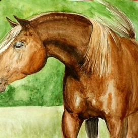 Просто лошадь