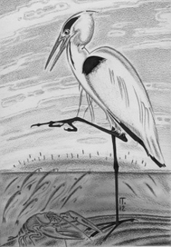 Иллюстрация к сказкам и басням Л.Н.Толстого