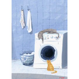 День стирки