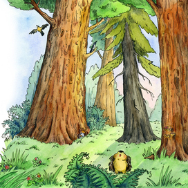 Иллюстрация к книге "Садовый ёжик Шур"