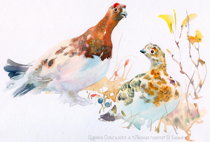 Весенняя хитрость титул