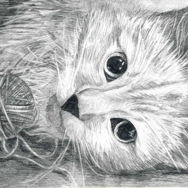 Кошка с клубком