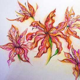 Красные лилии