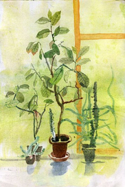 И за окном лето