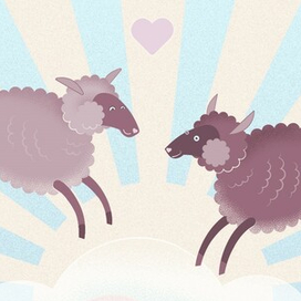 влюблённые овечки