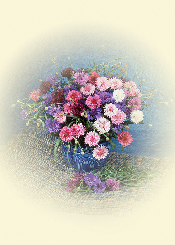 Букет из васильков