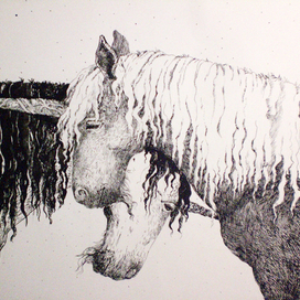 Чёрное и белое