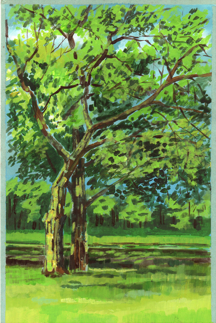 Солнце в листьях