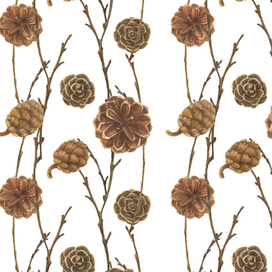 Чьи в лесу шишки