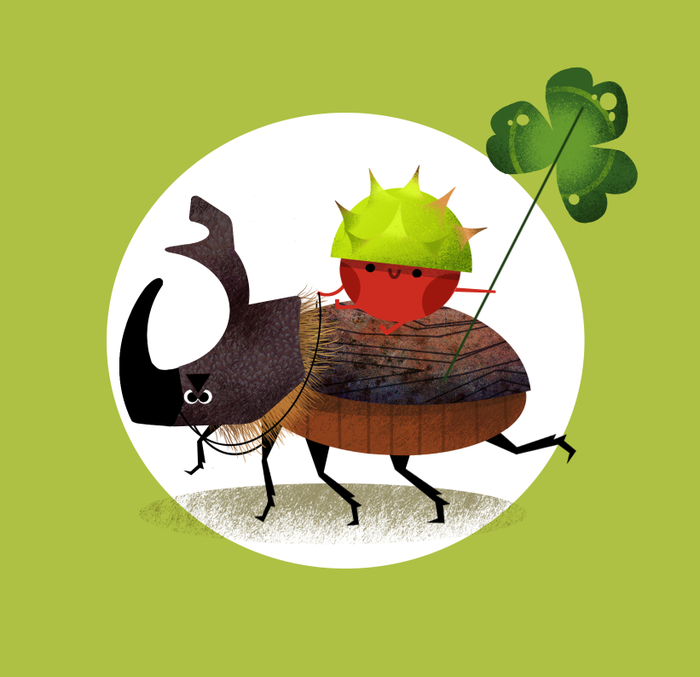 Каштанчик на жуке