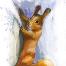 белочка2