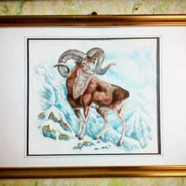 Горный козёл