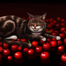 Вишневый кот