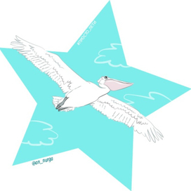 птица мечта