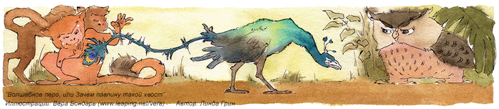 Волшебное перо или зачем павлину такой хвост