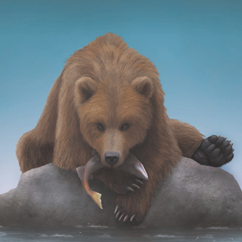 Мишка на камне