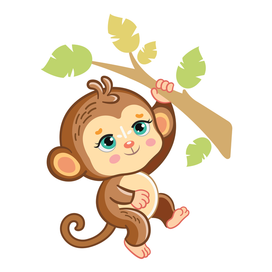 monkey