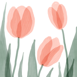 Розовые тюльпаны. Книжная иллюстрация