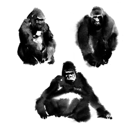 Гориллы