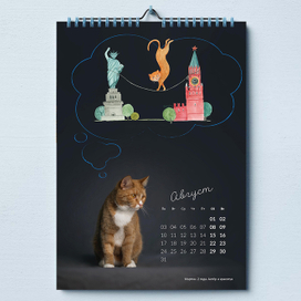 О чем мечтают кошки?