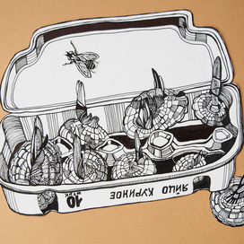 Луковицы гладиолусов.