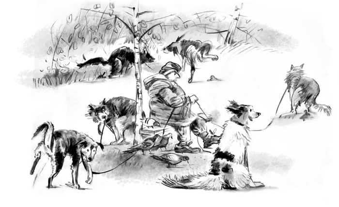 Книжка про тетю собачницу "Собачелла"