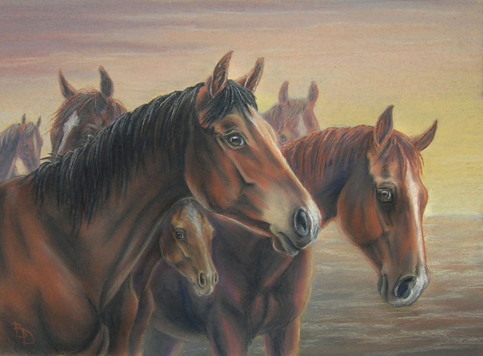 Табун на закате