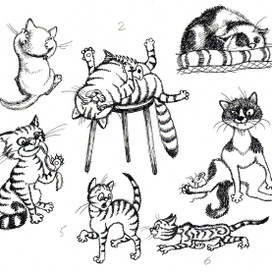 Котофизика 2