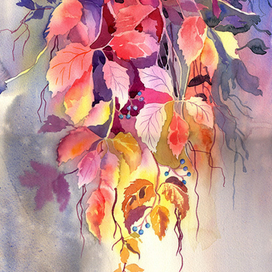 Девичий виноград