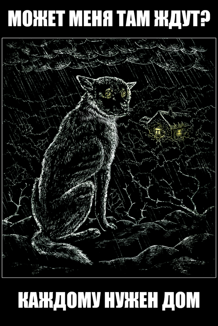 А может меня там ждут?