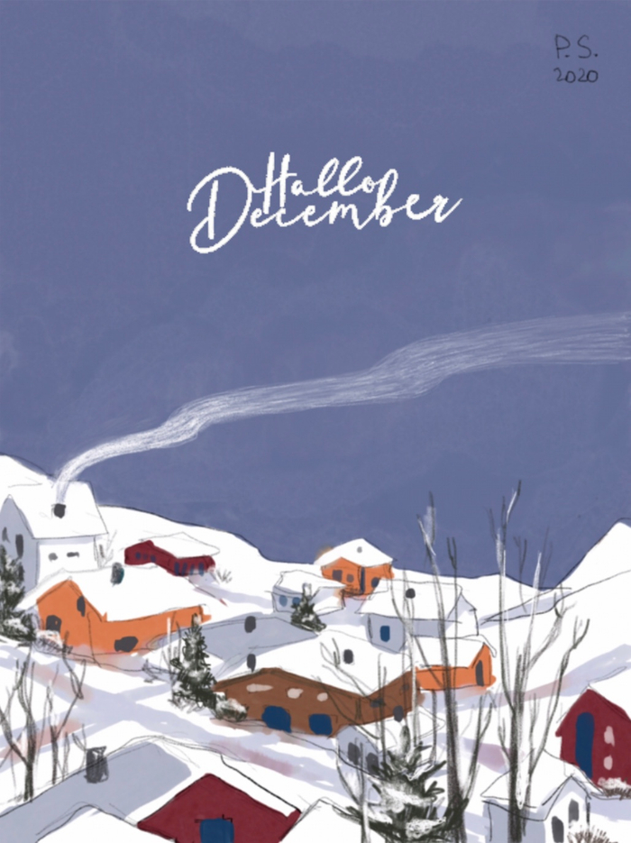 Hello December🤍❄️ (2020y)