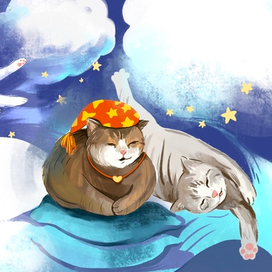 Кошачьи сны