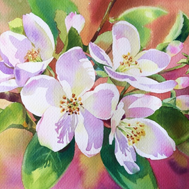 "Ветка яблони"