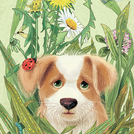 мячик потерялся и я тоже.