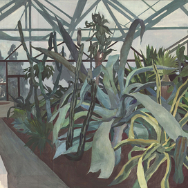 суккуленты