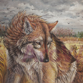 Последняя осень