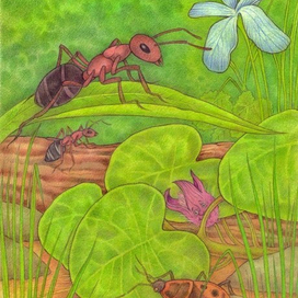 "Солдатик" на территории!