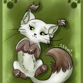 Открытка Котенок