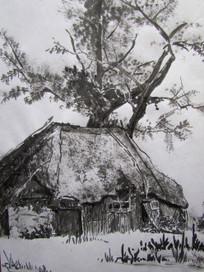 Старый сарай