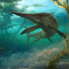 Pervushovisaurus Bannovkensis