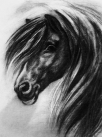 Черный конь