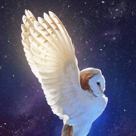 Волшебная лампа