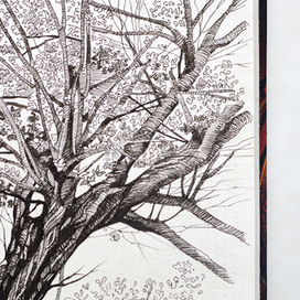 Ветки, елки, палки, деревья1