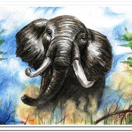 Бегущий слон